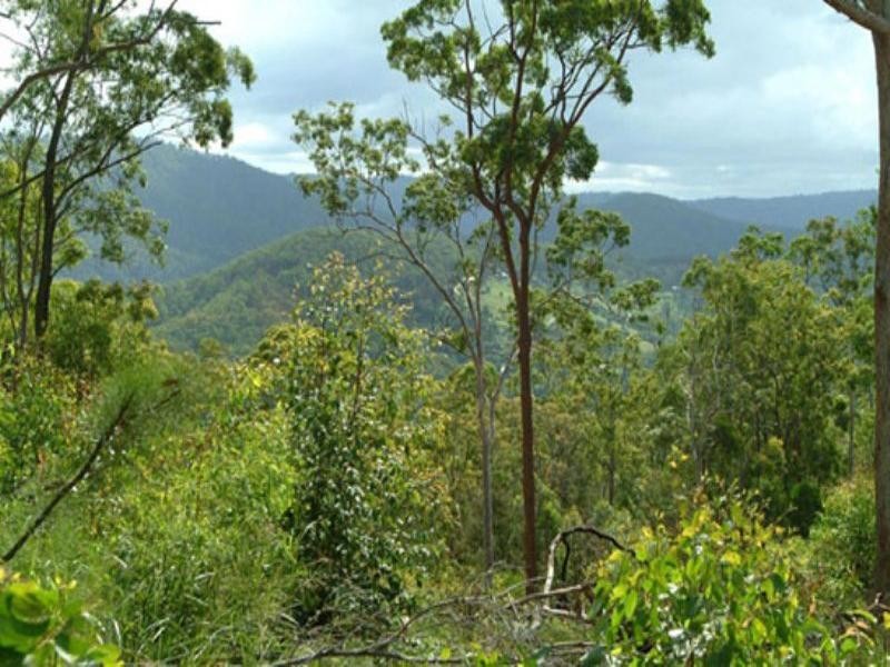 10 Austinville Road, Austinville QLD 4213