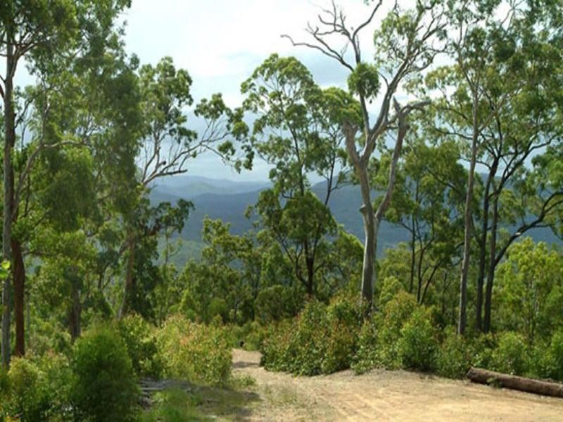 10 Austinville Road, Austinville QLD 4213