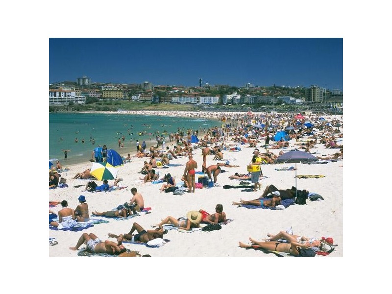 Dulwich Hill NSW 2203