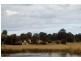 Macquarie Links NSW 2565