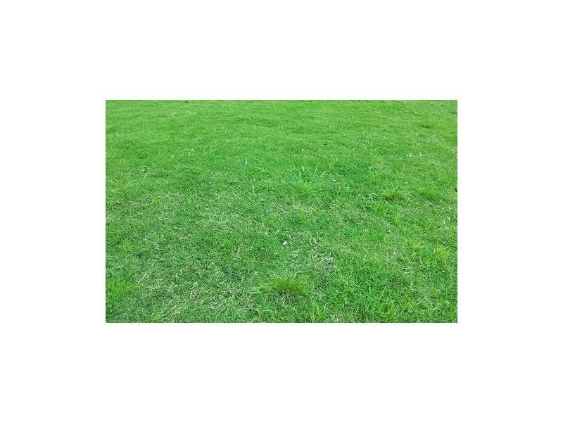 Macquarie Links NSW 2565