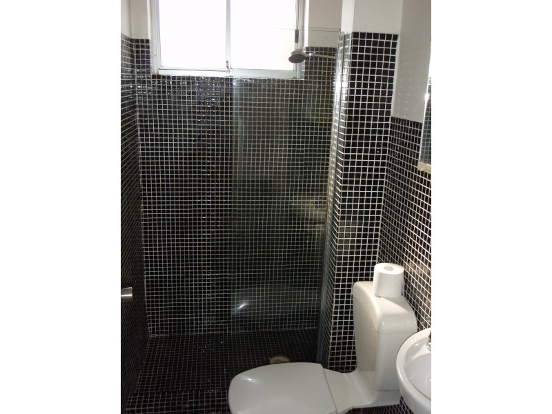 22 Helena Street, Lilyfield NSW 2040