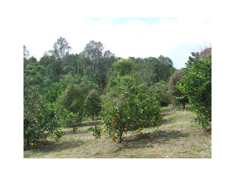 96 Buckley Road, Kin Kin QLD 4571