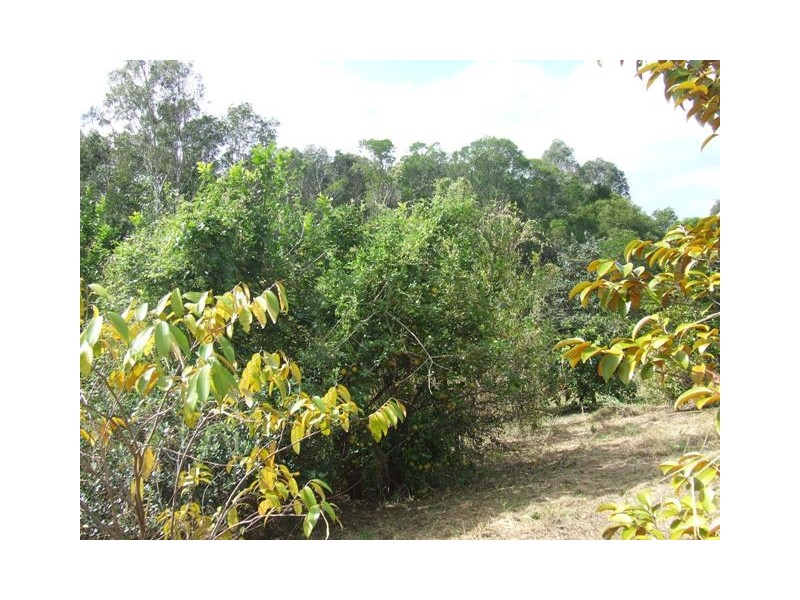 96 Buckley Road, Kin Kin QLD 4571