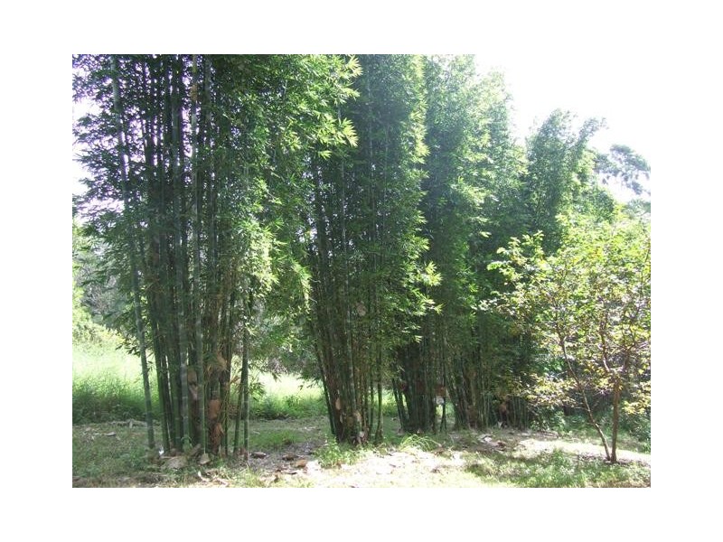 96 Buckley Road, Kin Kin QLD 4571