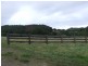 1073 Pomona Kin Kin Road, Kin Kin QLD 4571