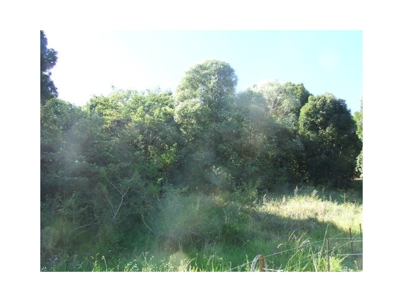 Pinbarren QLD 4568