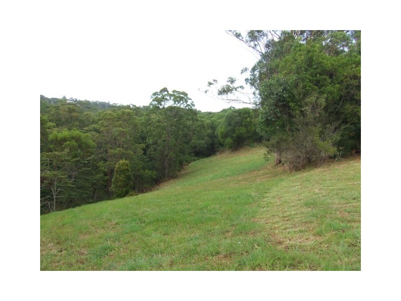 31 Woodswallow Lane, Black Mountain QLD 4563