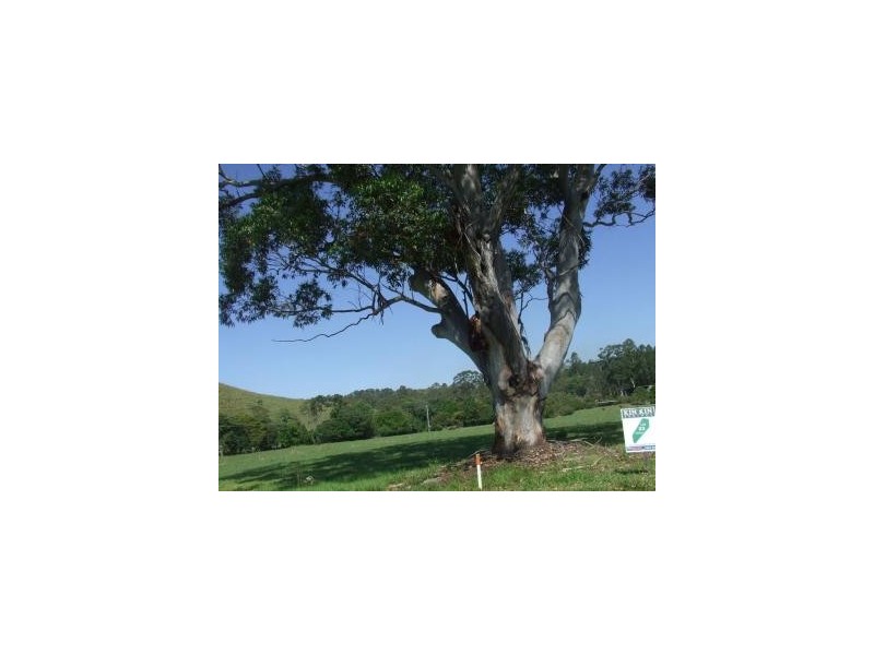 18 Overton Way, Kin Kin QLD 4571