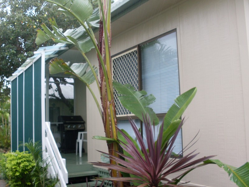 Maroochydore QLD 4558