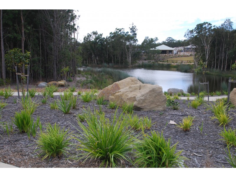 Caloundra QLD 4551