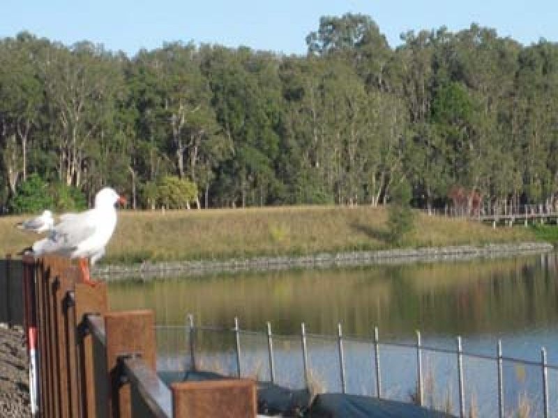 Varsity Lakes QLD 4227