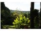 Lake Eacham QLD 4884