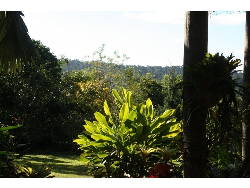 Lake Eacham QLD 4884