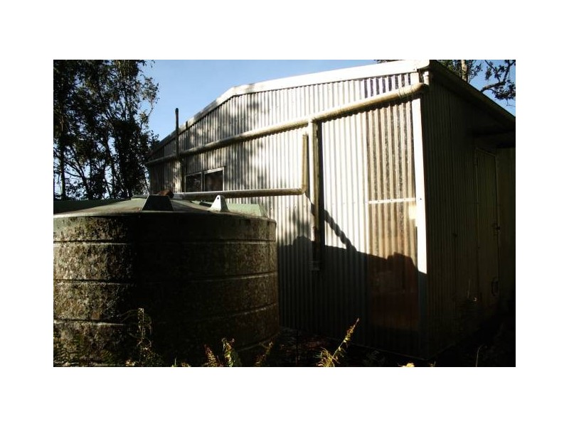 Tarzali QLD 4885