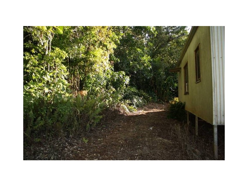 Tarzali QLD 4885