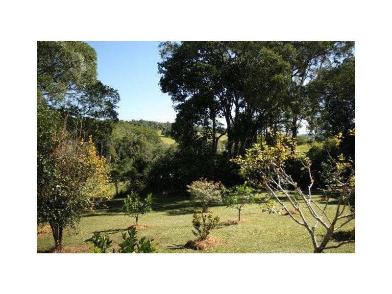 Lake Eacham QLD 4884