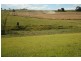 Yungaburra QLD 4884