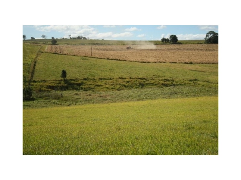 Yungaburra QLD 4884