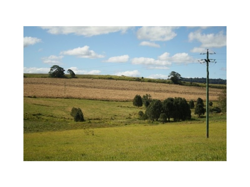 Yungaburra QLD 4884