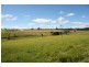 Yungaburra QLD 4884
