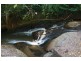 Yungaburra QLD 4884