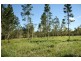 Yungaburra QLD 4884