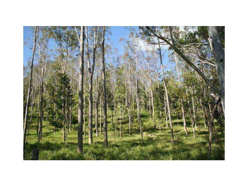 Yungaburra QLD 4884