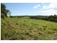 Yungaburra QLD 4884
