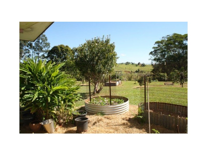 Yungaburra QLD 4884