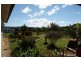 Yungaburra QLD 4884