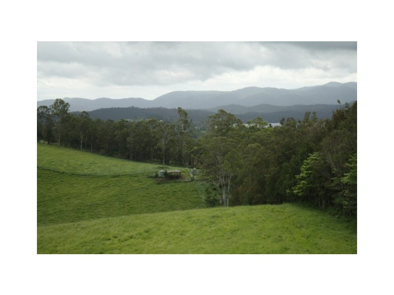 Yungaburra QLD 4884