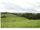 Yungaburra QLD 4884