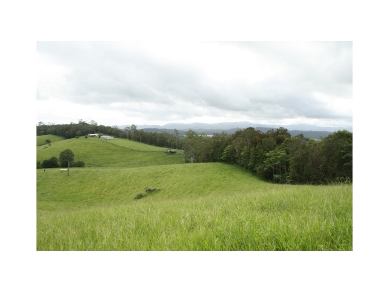 Yungaburra QLD 4884