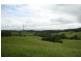 Yungaburra QLD 4884