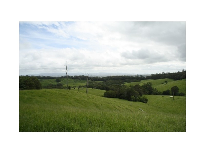 Yungaburra QLD 4884