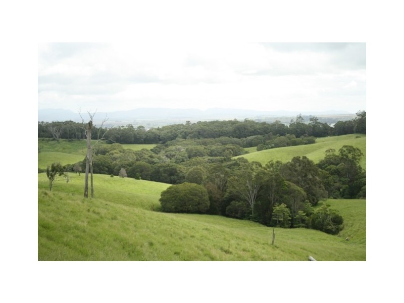 Yungaburra QLD 4884