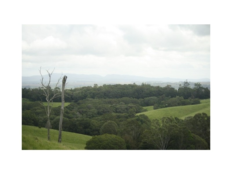 Yungaburra QLD 4884