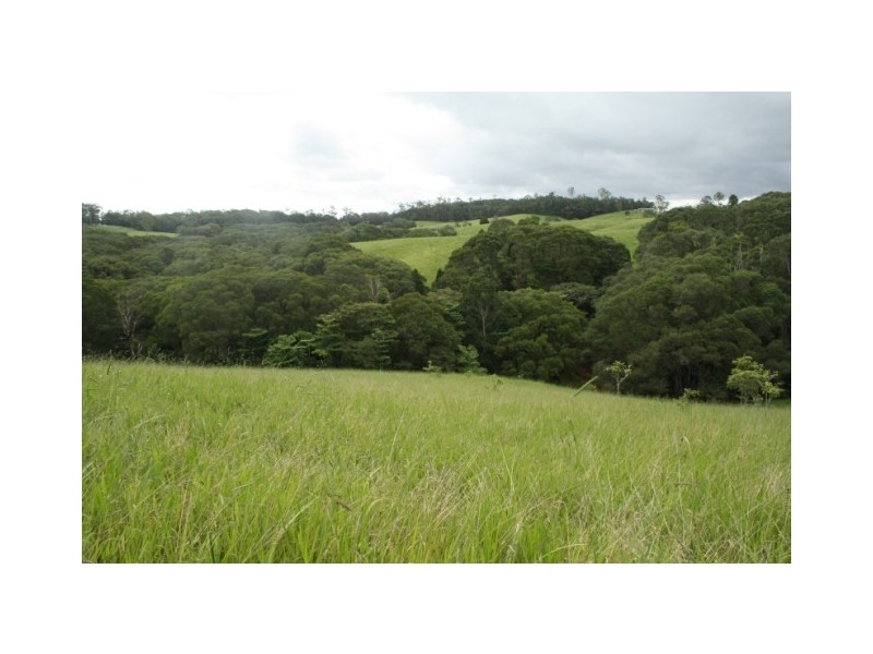 Yungaburra QLD 4884