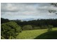 Yungaburra QLD 4884