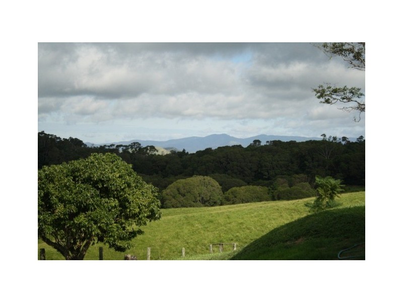 Yungaburra QLD 4884