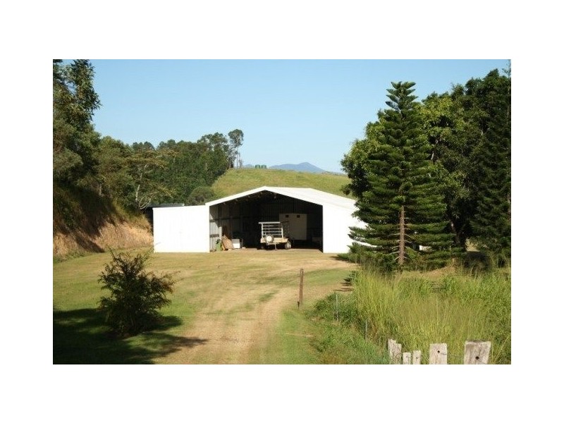 Yungaburra QLD 4884