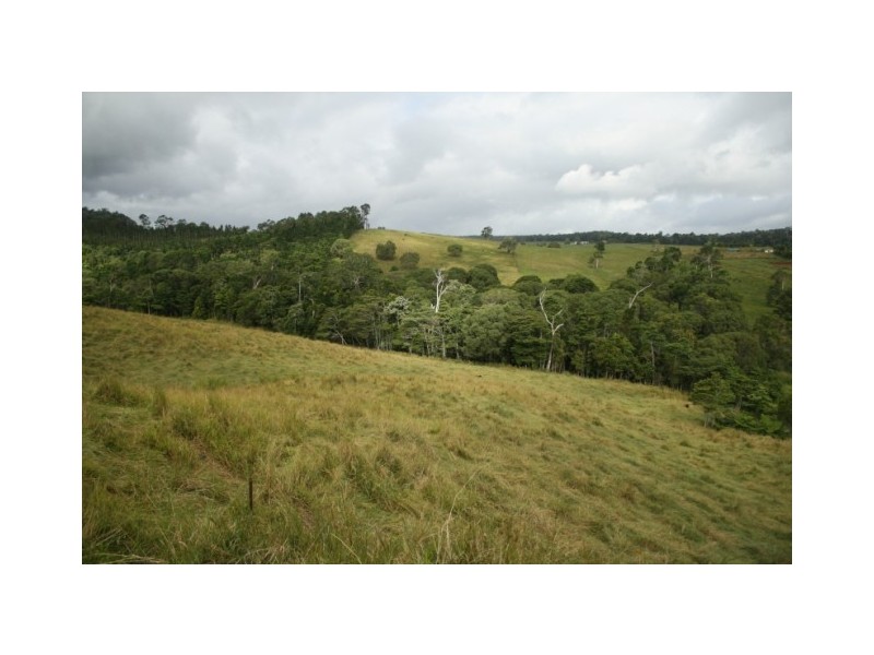 Yungaburra QLD 4884