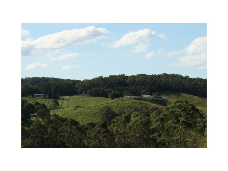 Yungaburra QLD 4884
