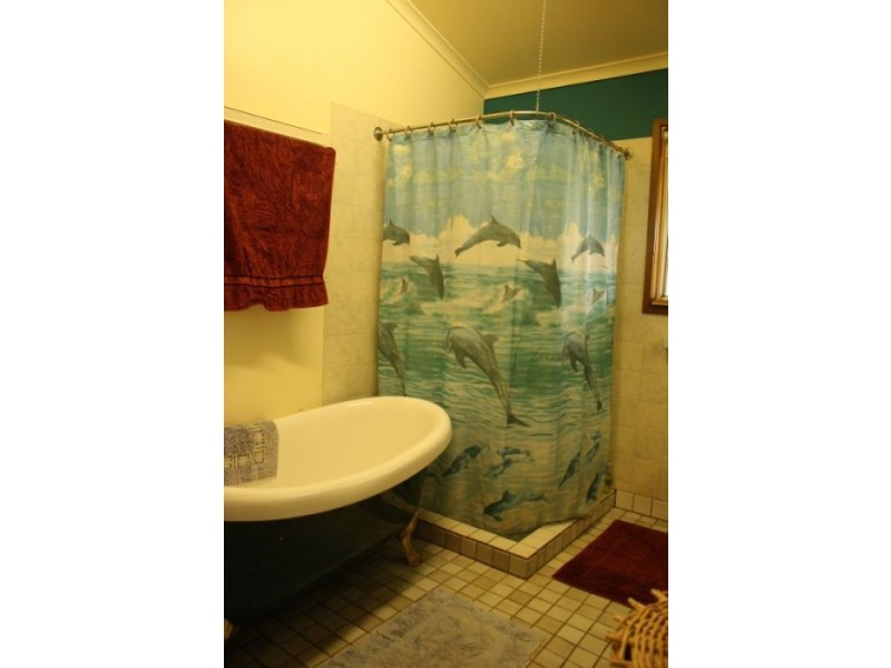 Lake Eacham QLD 4884