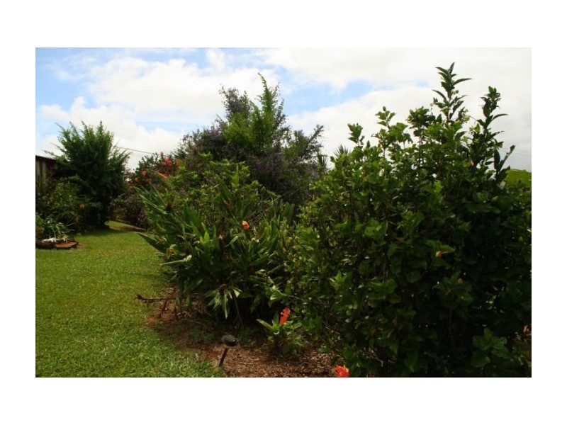 Lake Eacham QLD 4884