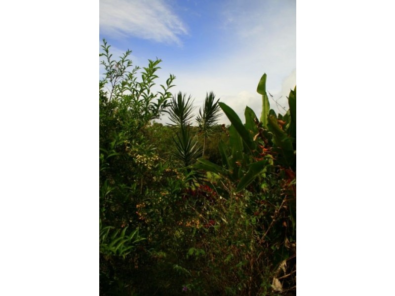 Lake Eacham QLD 4884