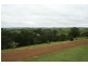 Tarzali QLD 4885