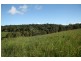 Yungaburra QLD 4884