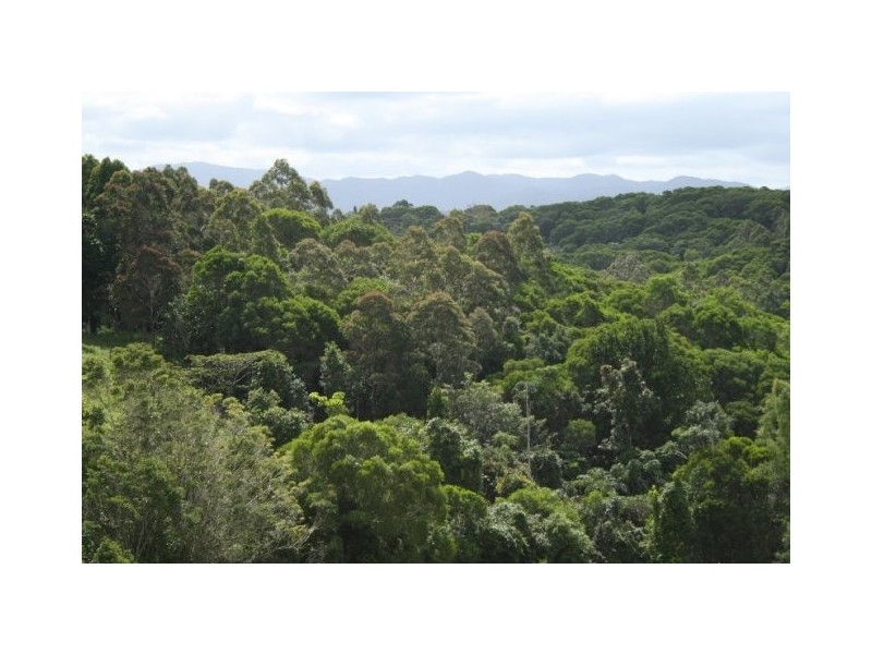 Barrine QLD 4872